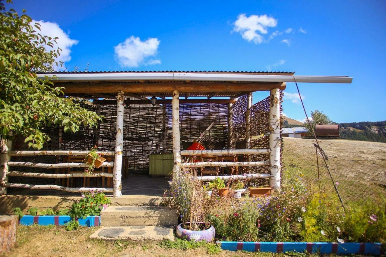 Guest House Old Omalo Exterior foto